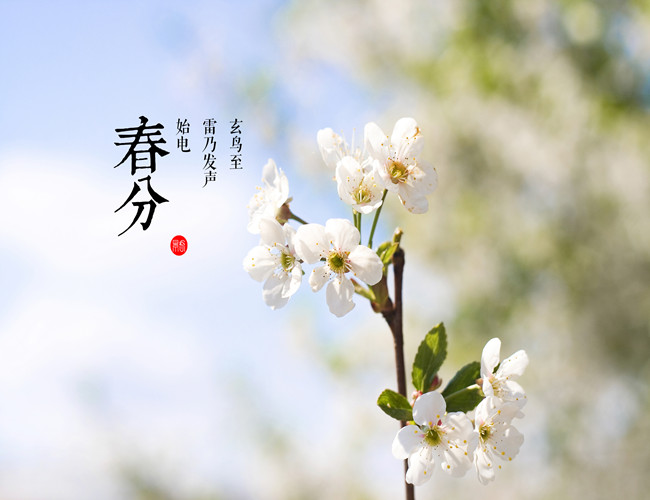 又是一年春分到(圖1) 又是一年春分到(圖1)